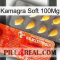 Kamagra Soft 100Mg new01